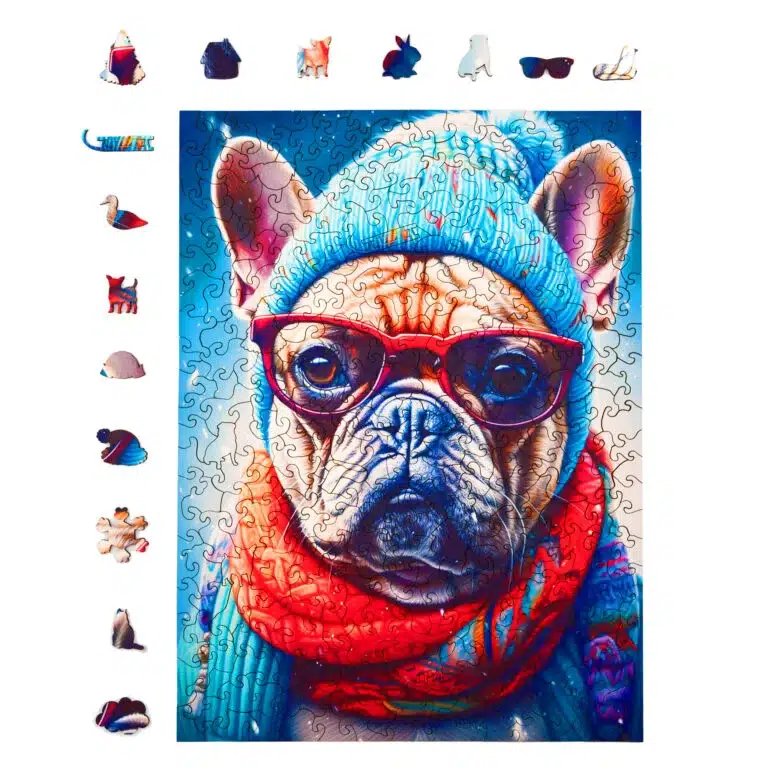 Gustav, a morcos bulldog fa puzzle