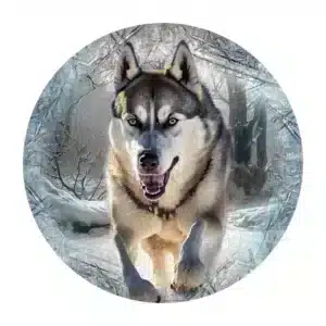 lup alergând puzzle din lemn