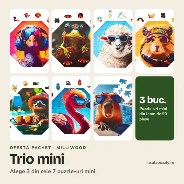 Pachet puzzle din lemn Trio mini