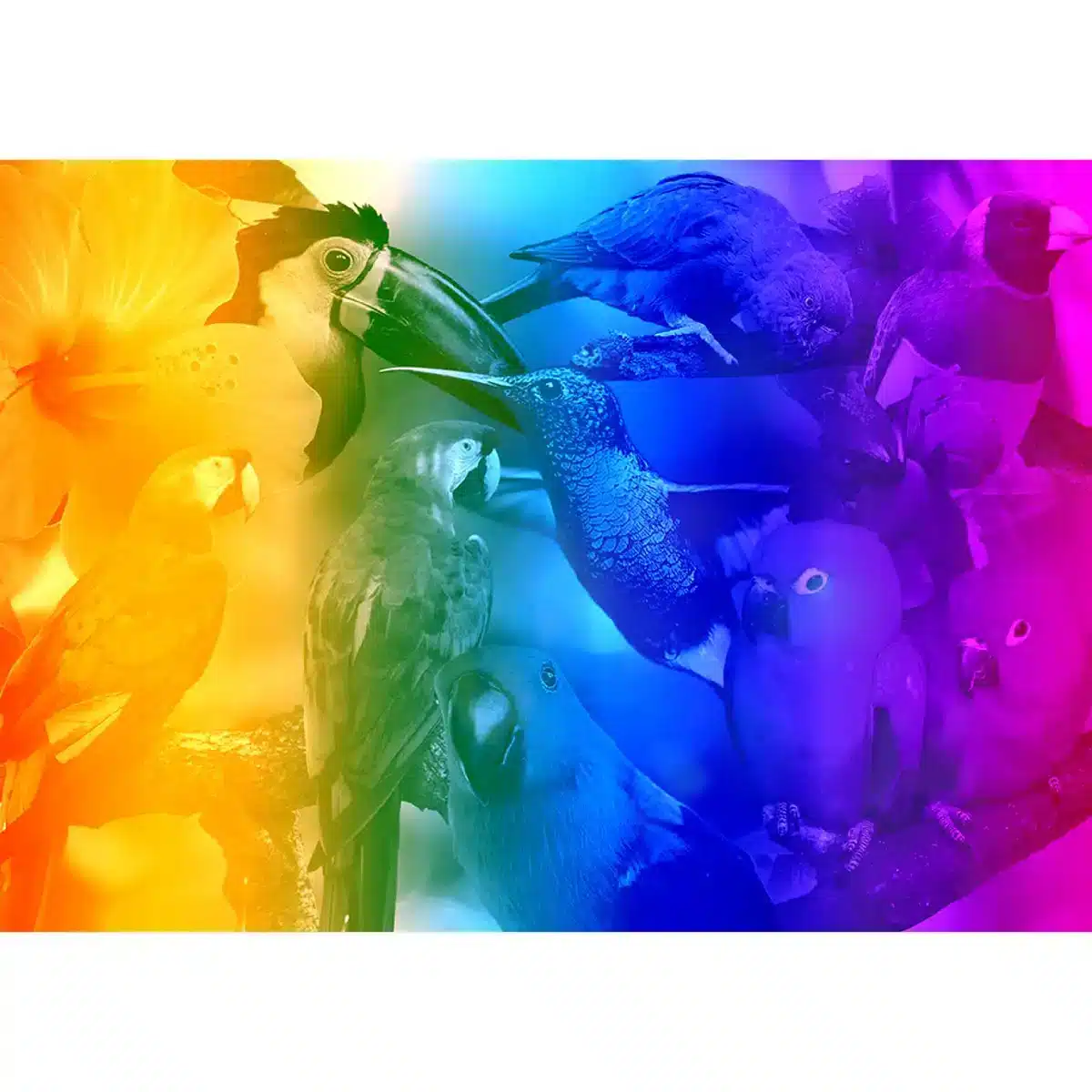 păsări din paradis puzzle din lemn