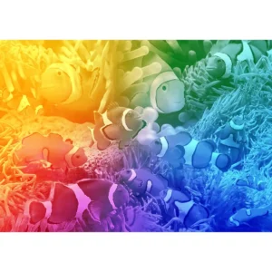 Pește troian puzzle din lemn