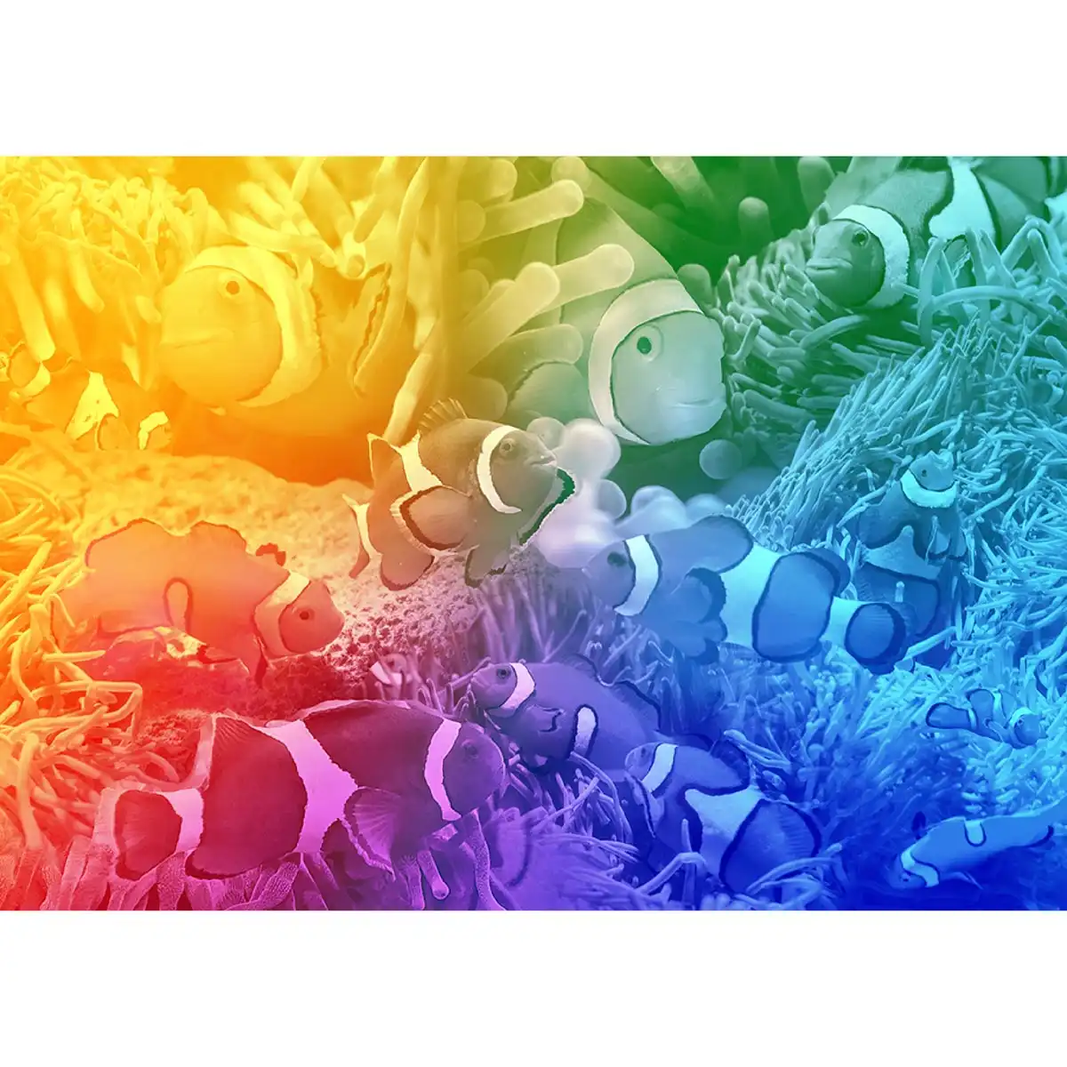 Pește troian puzzle din lemn