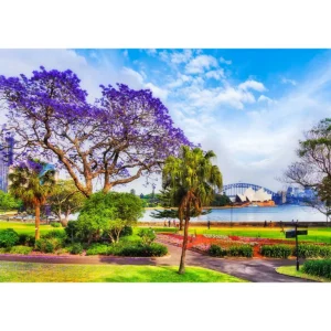 Sydney în primăvară Puzzle din lemn