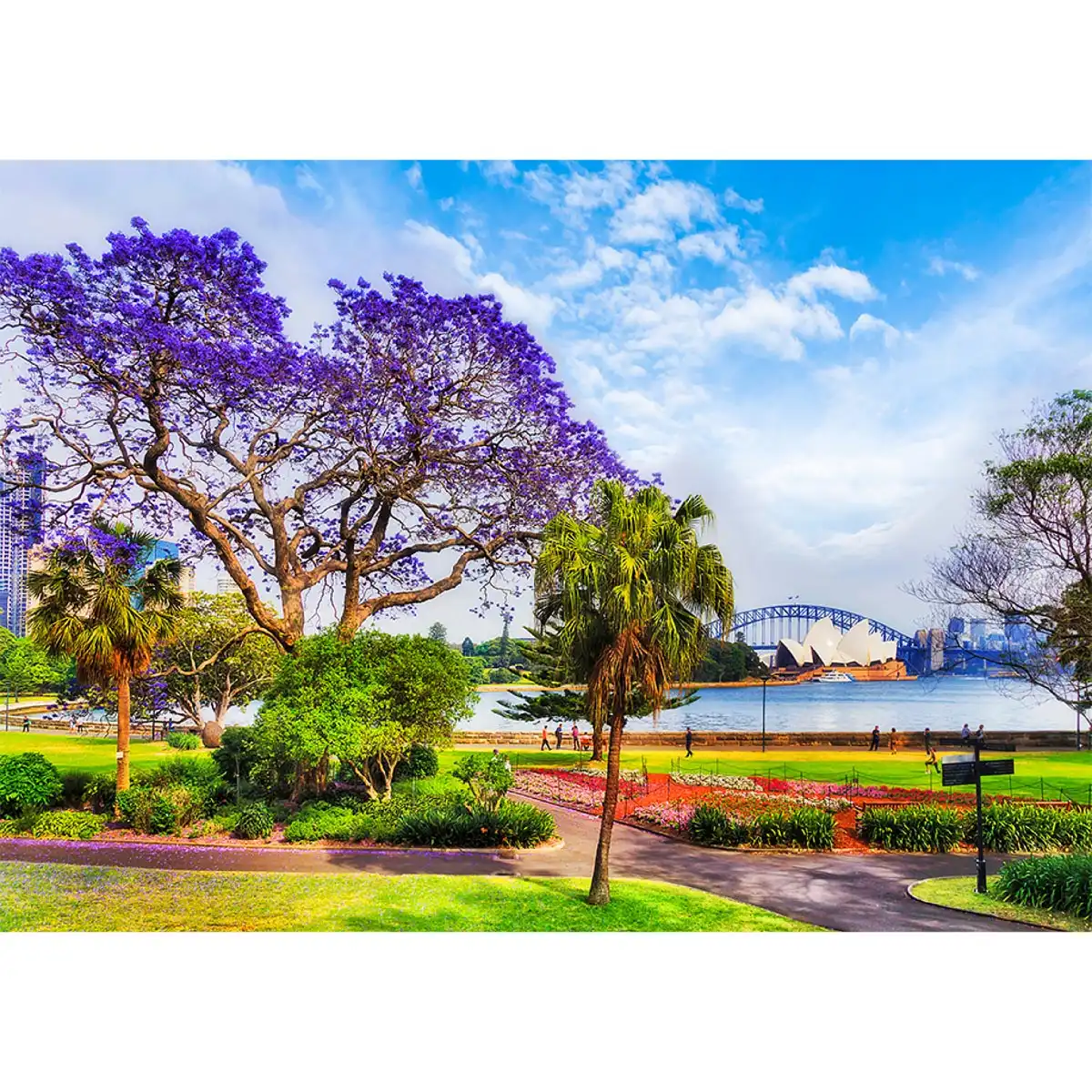 Sydney în primăvară Puzzle din lemn